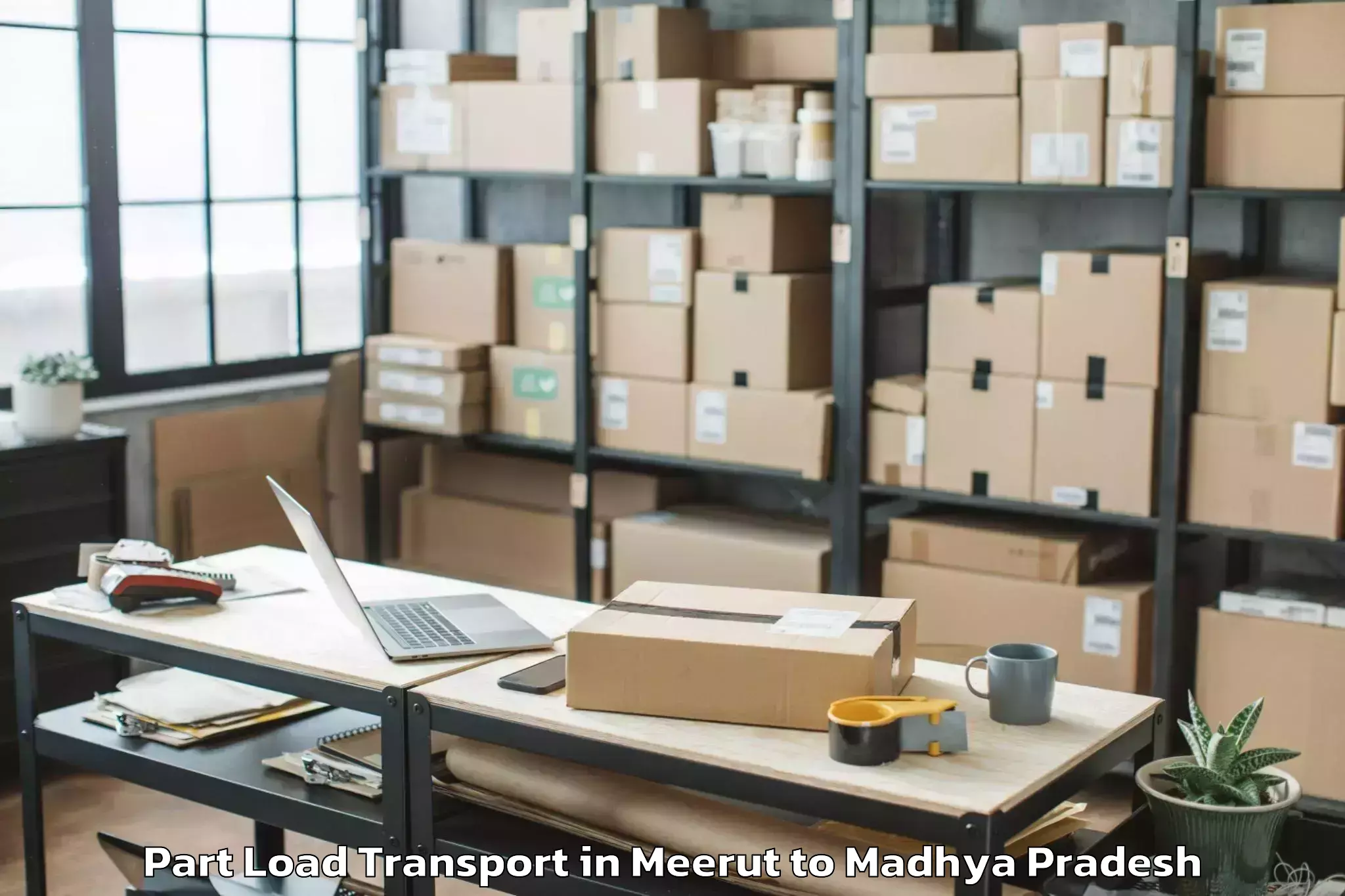 Easy Meerut to Goharganj Part Load Transport Booking